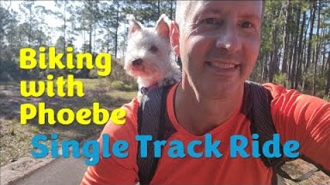Biking with Phoebe, Dog in a Backpack, Single Track Bike Ride Image