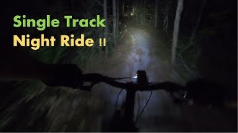 Single Track Night Ride in the Woods, Mountain Biking Image