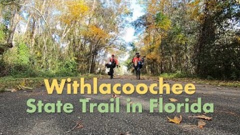 Recumbent Bikes on the Withlacoochee State Trail Image