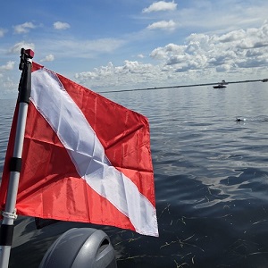 Dive Flag image