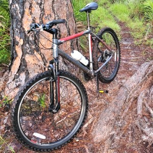Mountain bike image