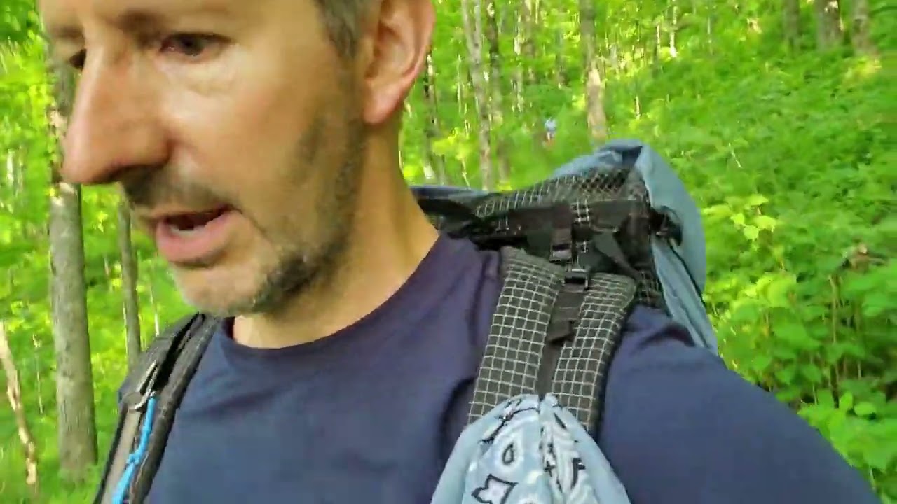 Appalachian Trail 2019, Day 7, Blue Mountain Shelter to Tray Mountain Shelter