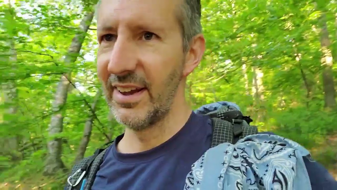 Appalachian Trail 2019, Day 8, Tray Mountain Shelter to Dick's Creek Gap