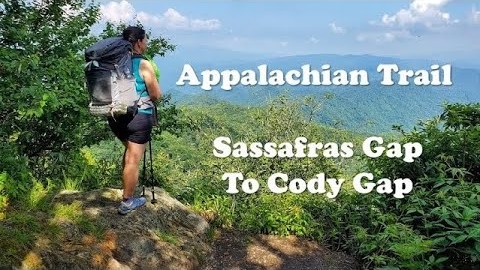 Appalachian Trail 2020, Day 16, Sassafras Gap Shelter to Cody Gap