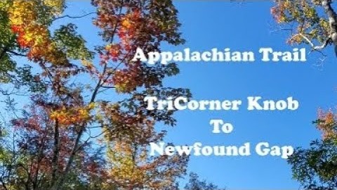 Appalachian Trail 2020, Day 20, TriCorner Knob to Newfound Gap (SOBO Section)