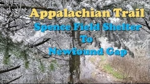 Appalachian Trail 2021, Days 23-24, Spence Field Shelter to Newfound Gap