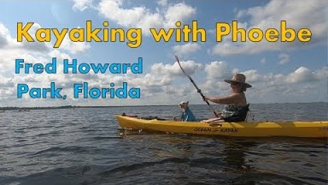Kayaking with our Puppy Dog, Fred Howard Beach, Florida