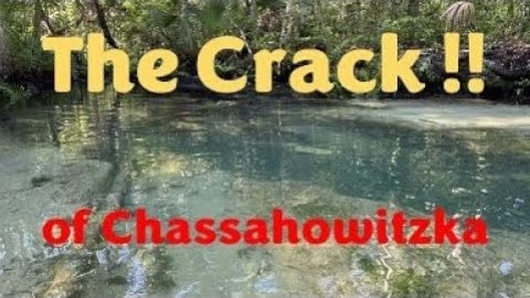 The Crack! Kayaking the Chassahowitzka River