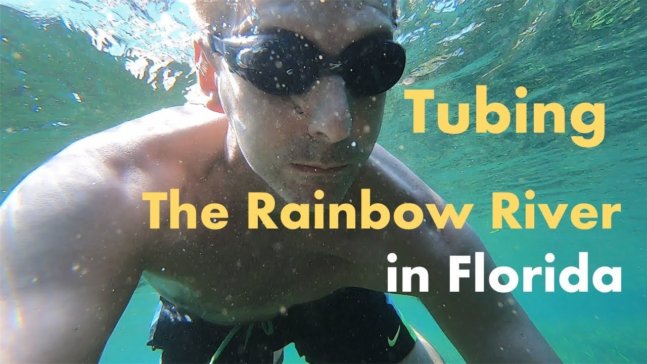 Tubing the Rainbow River in Florida, Alligator Sighting